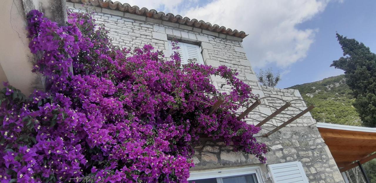 Les Villas De Qeparo Dış mekan fotoğraf