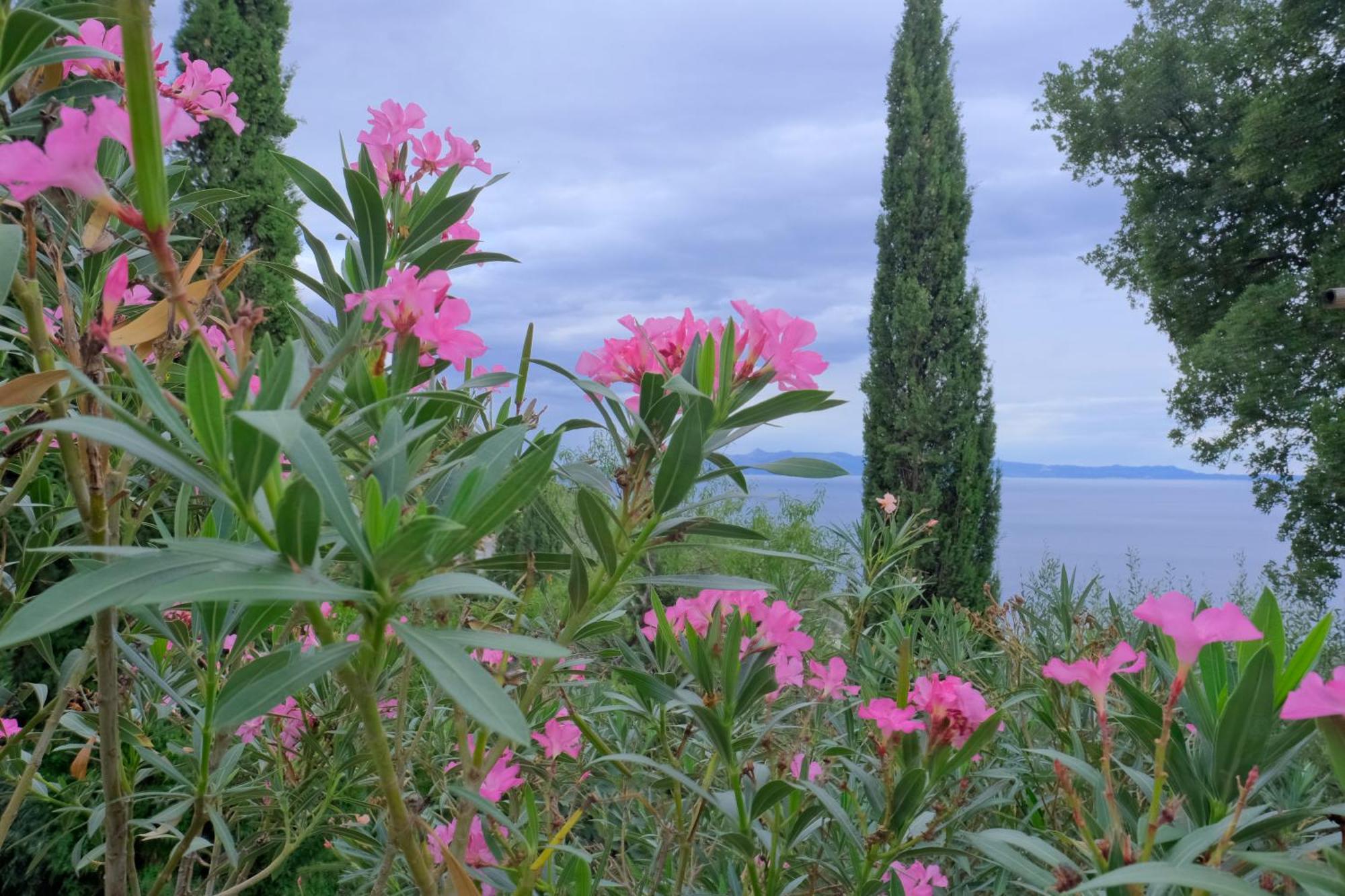Les Villas De Qeparo Dış mekan fotoğraf